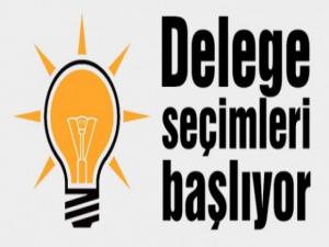 AK Parti Koçarlıda delegelerini seçecek