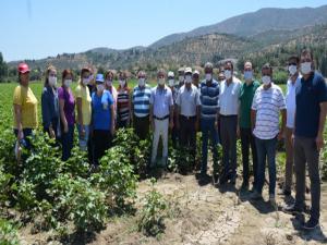 Çiftçilerin turizm yolu tepkisi