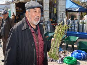 Geleneksel Lezzet Sarmaşık Sofralarda