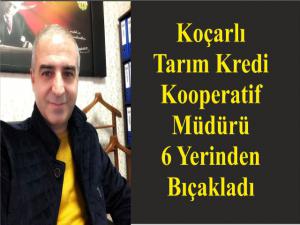 Koçarlı Tarım Kredi Kooperatif Müdürü  6 Yerinden Bıçakladı