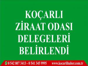 Koçarlı  Ziraat Odası Delegeleri  Belirlendi