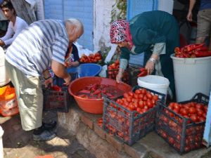 Koçarlı'da Salça Seferberliği Başladı