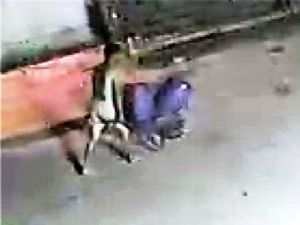 Çıplak hırsız kameraya yakalandı