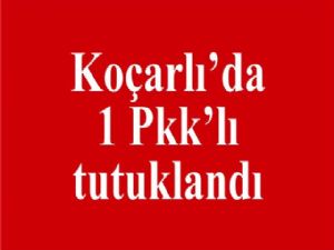 Koçarlıda 1 Pkk lı tutuklandı