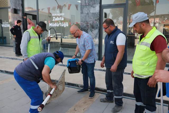 Koçarlı Belediyesi  Sokak Hayvanları İçin Ortak Çalışma Yapıyor	 